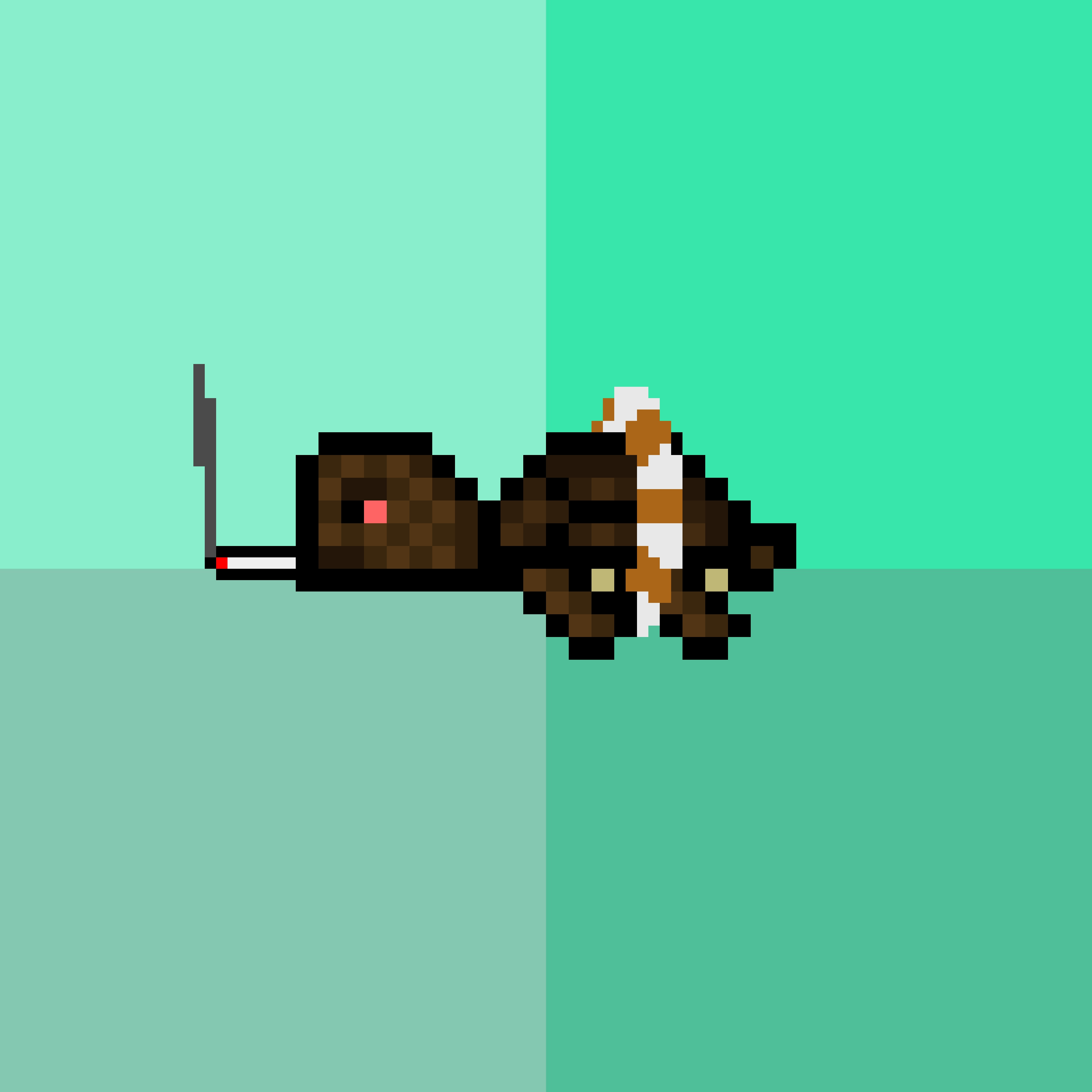 DAO Turtle #7