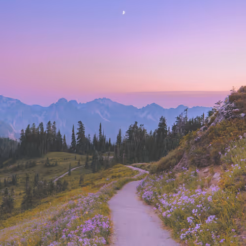 Follow the Moon