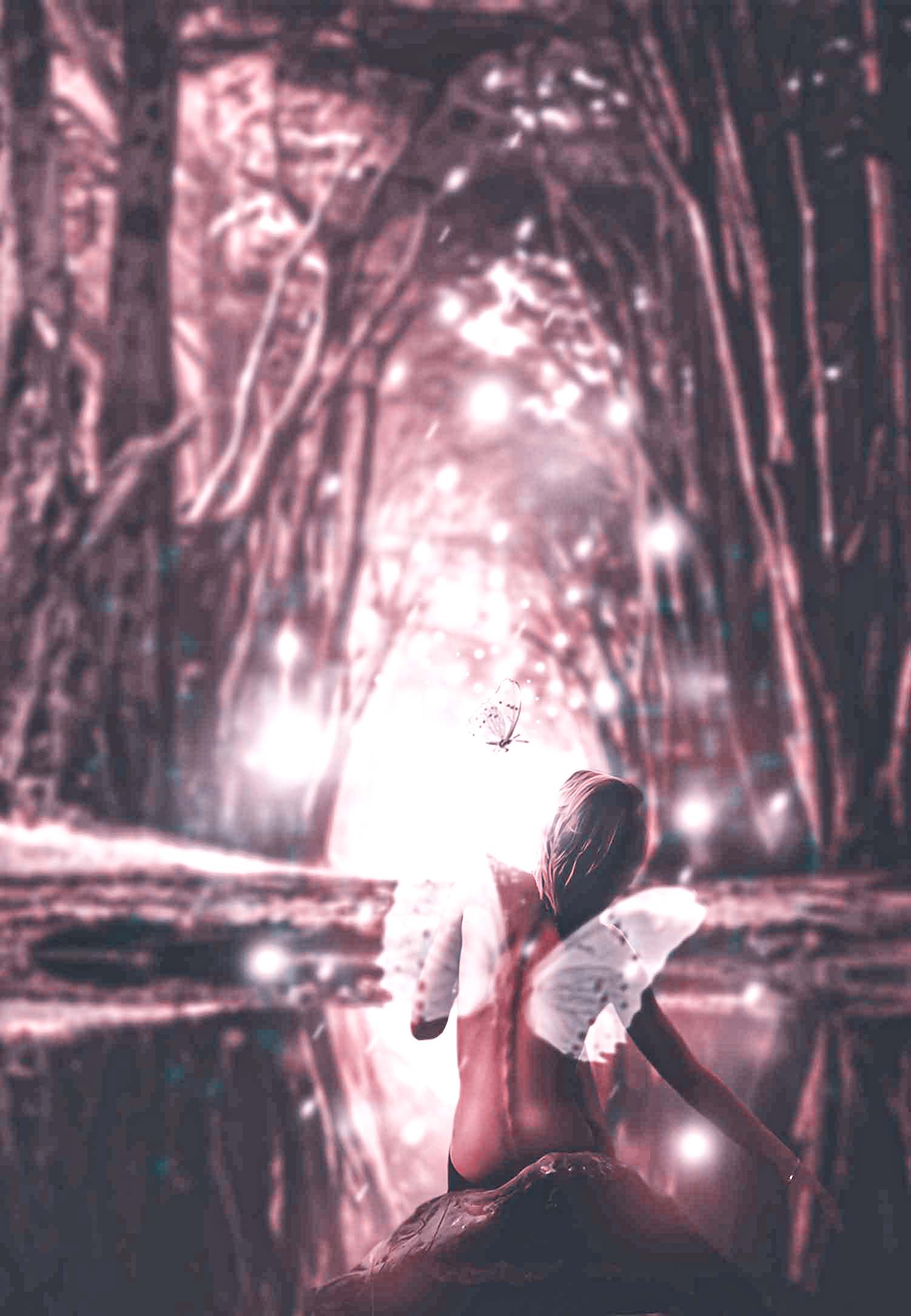 fairy