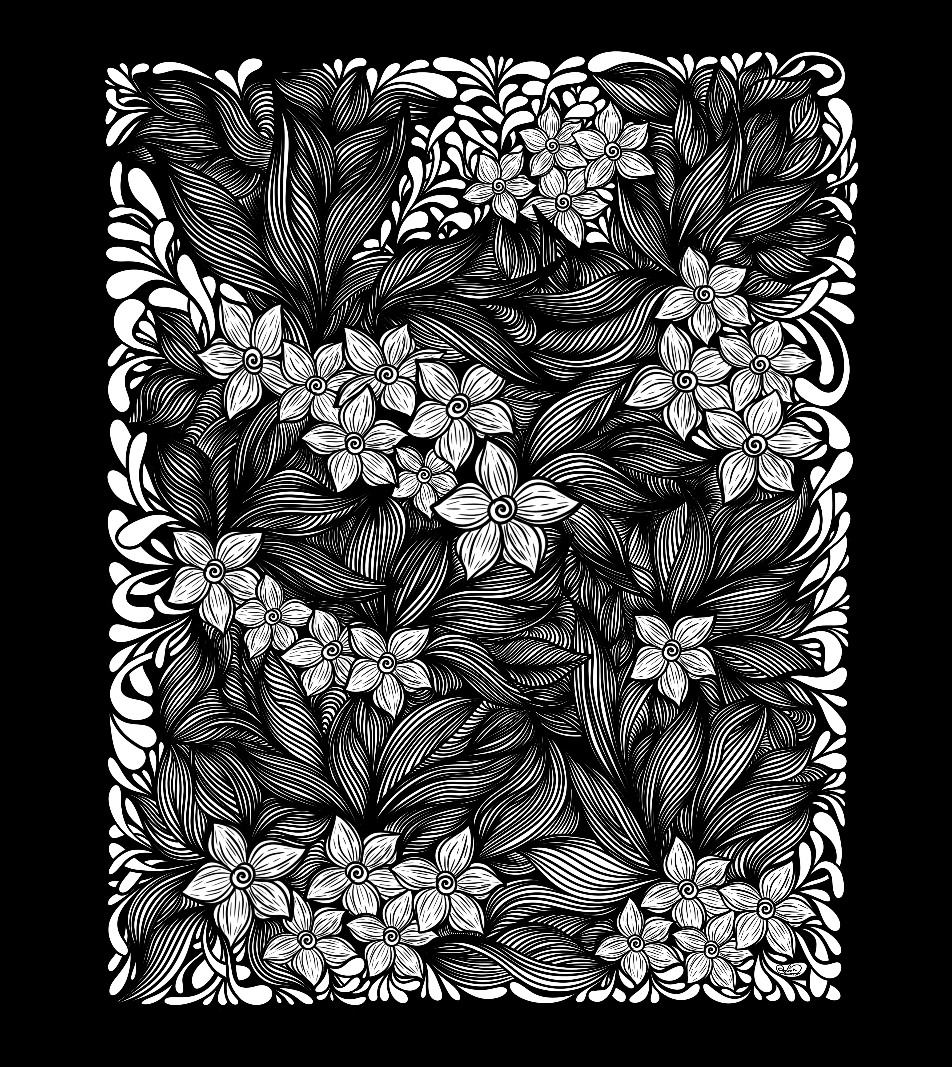 Star Flowers of Nightly Garden