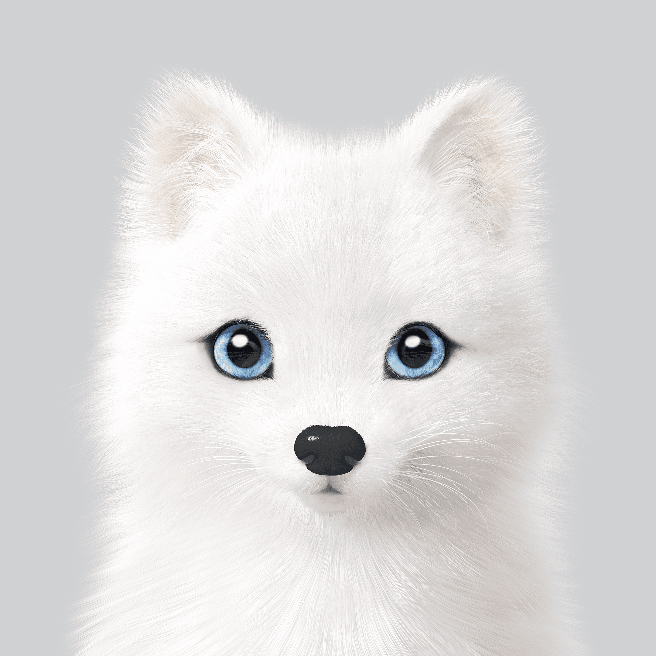 #404 Polly the Arctic Fox