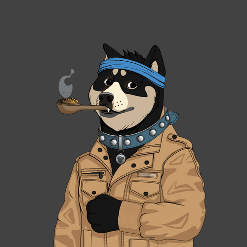 Doge #1491