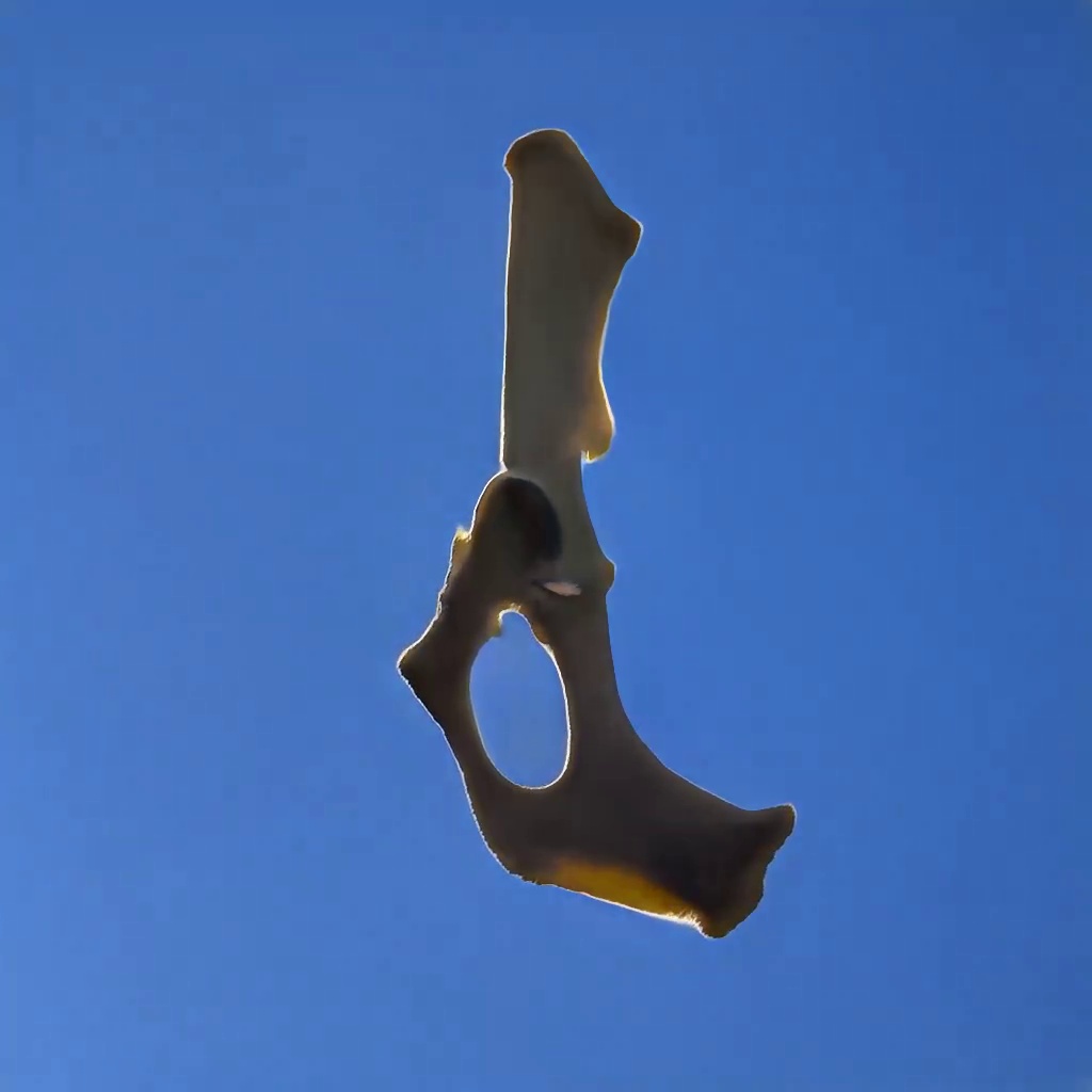 Bones In The Sky Marfa No. 58
