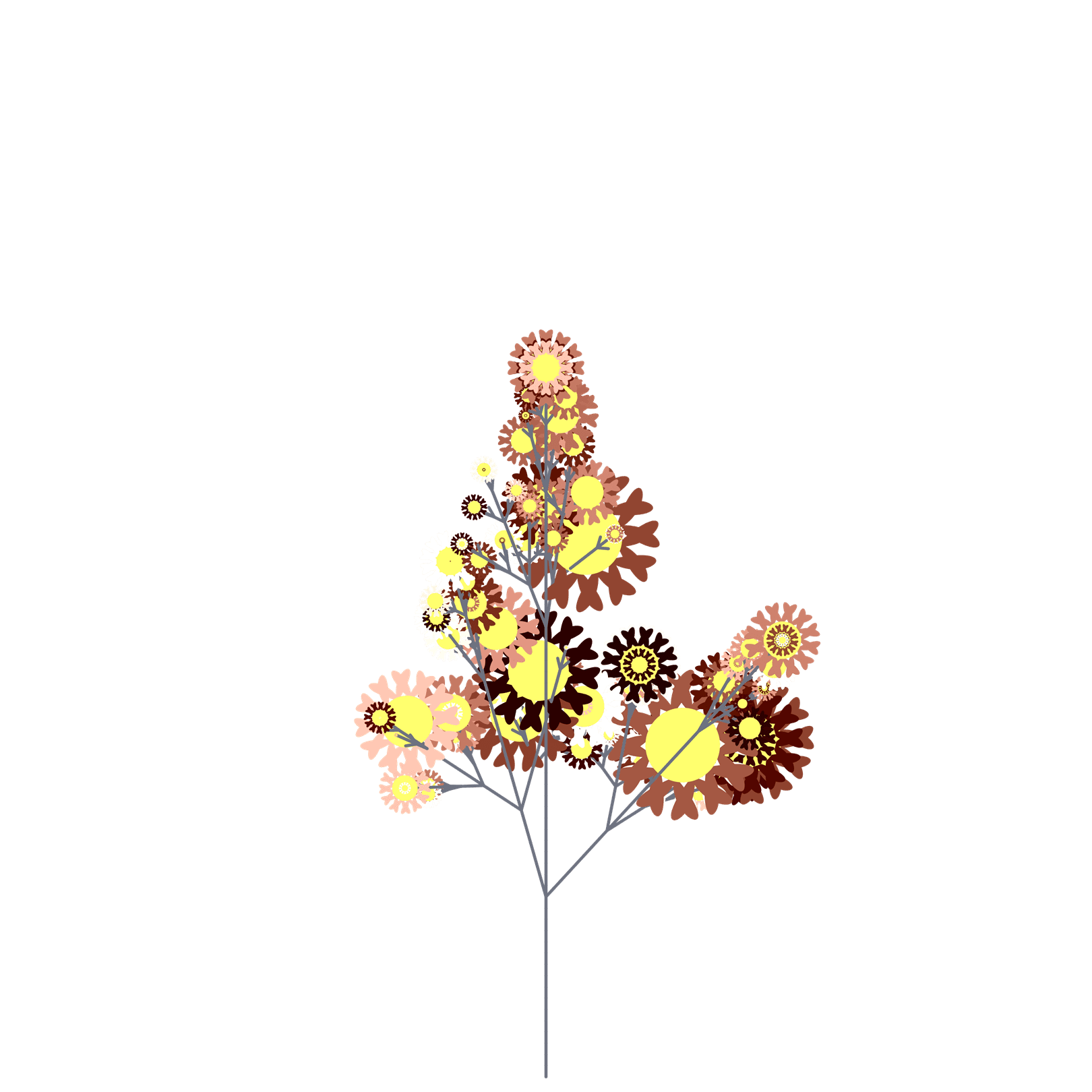 Happy Brittlebush