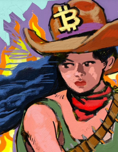 THE BITCOIN COWGIRL VERSUS ANON