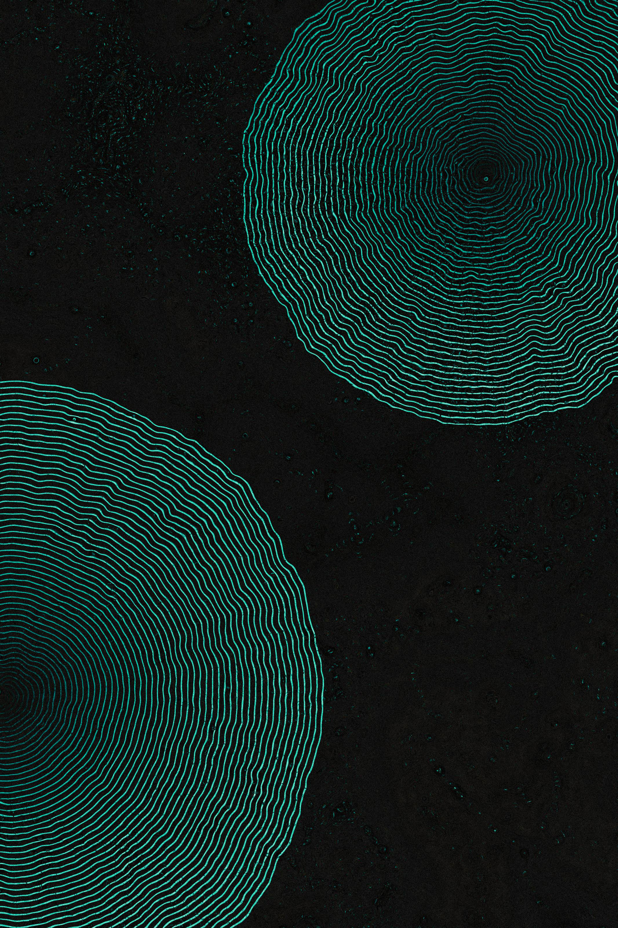 Dactylogram #91