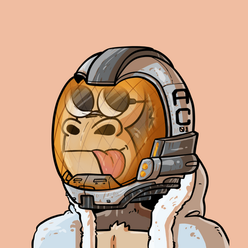 Coin Ape #496