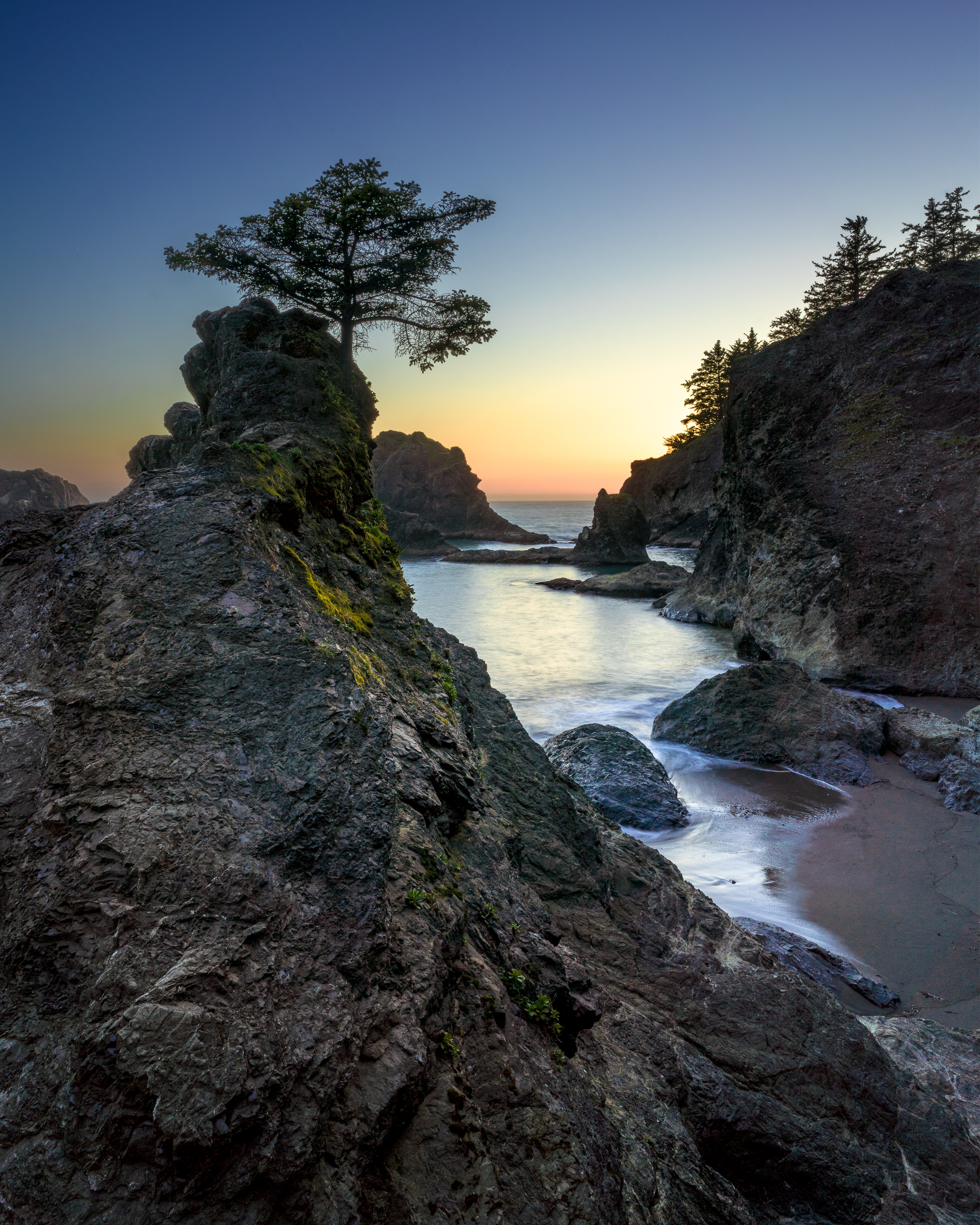 Secret Last Light