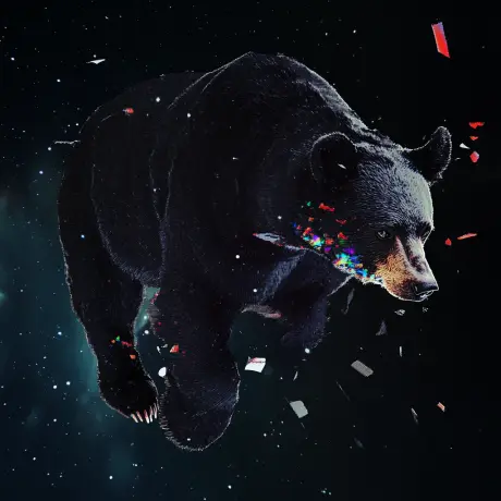 bear #2037