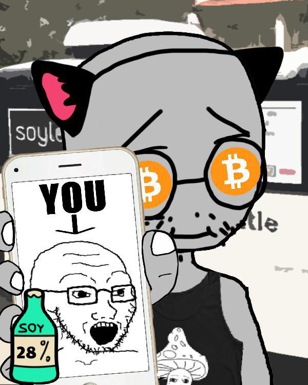Soylads #871