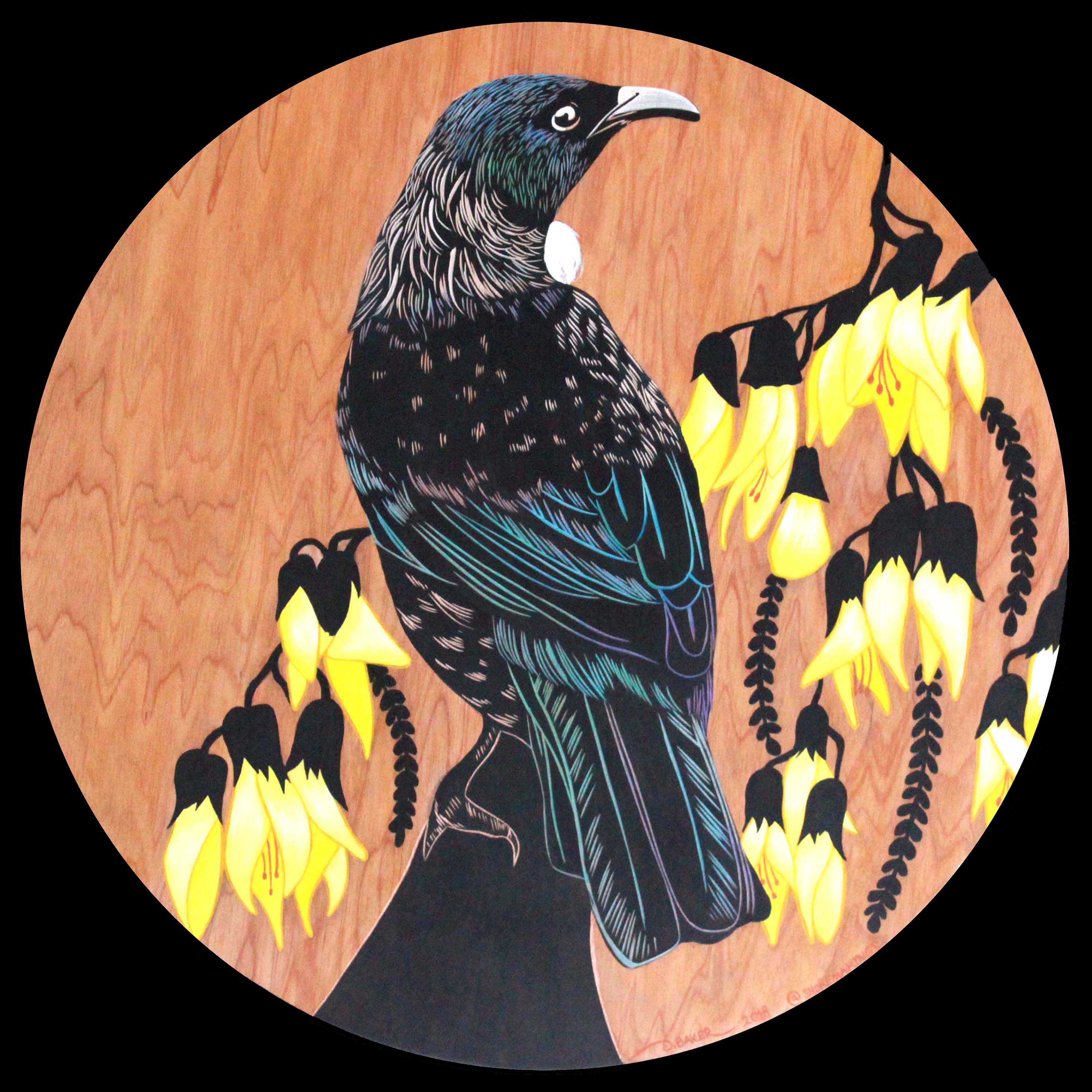 Tūī & Kōwhai #001