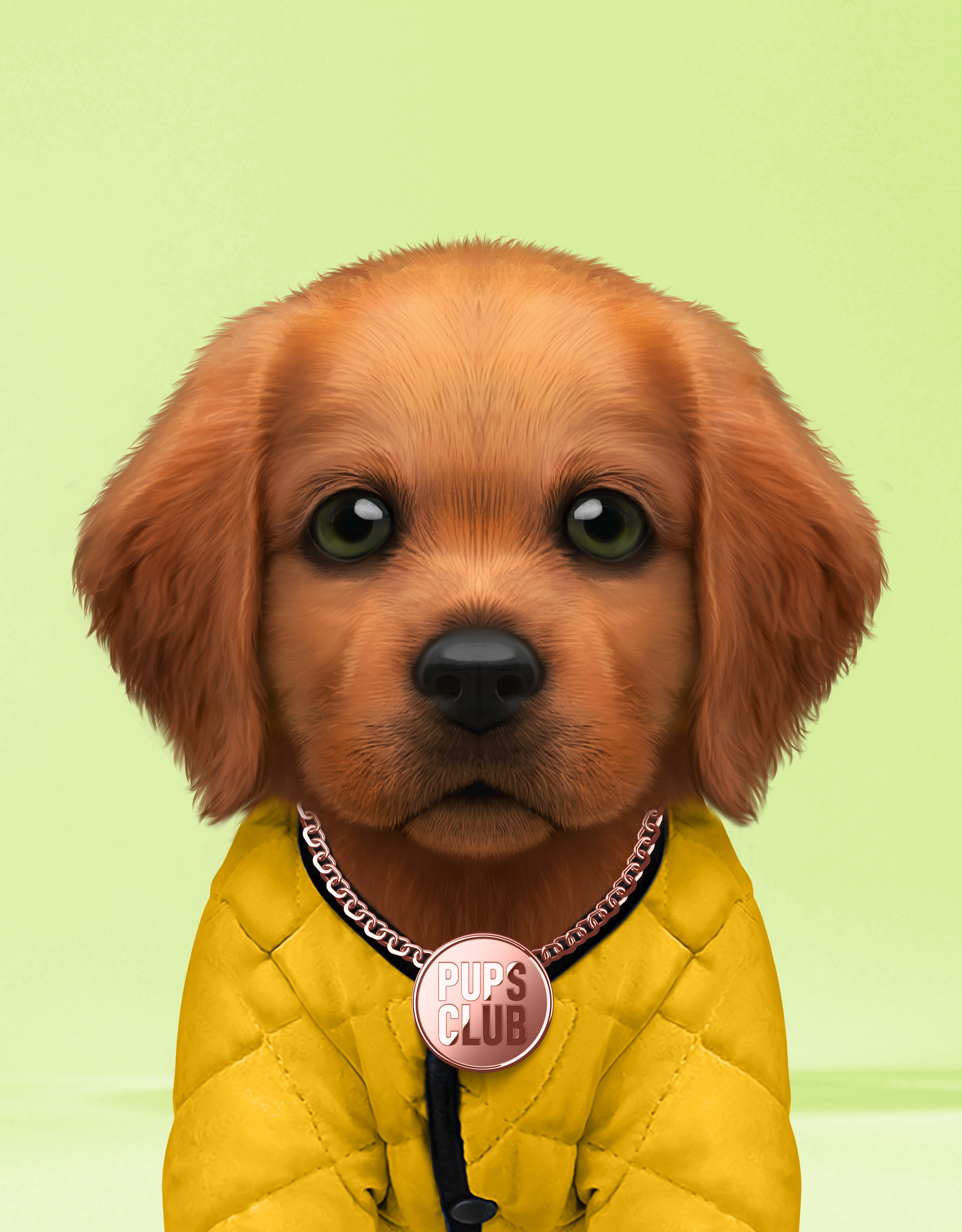 Pup #7481