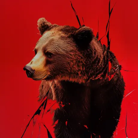 bear #3283