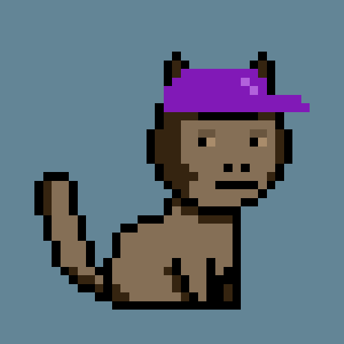 CryptoPunkCat #2491