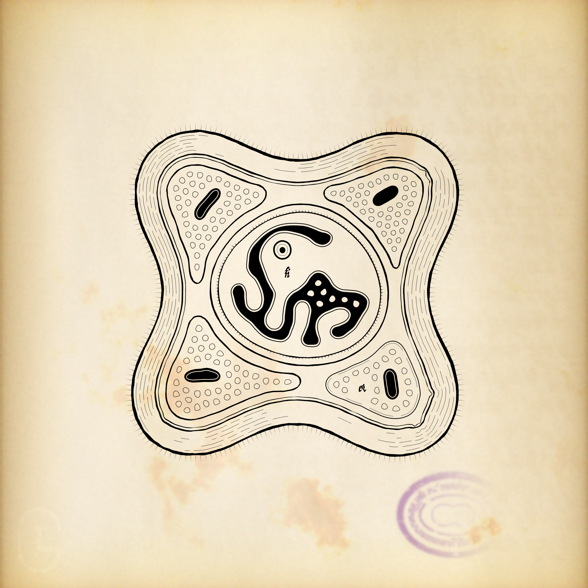 Cytographia #304