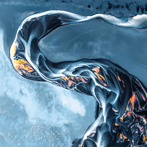 Swan of Destiny #7/22
