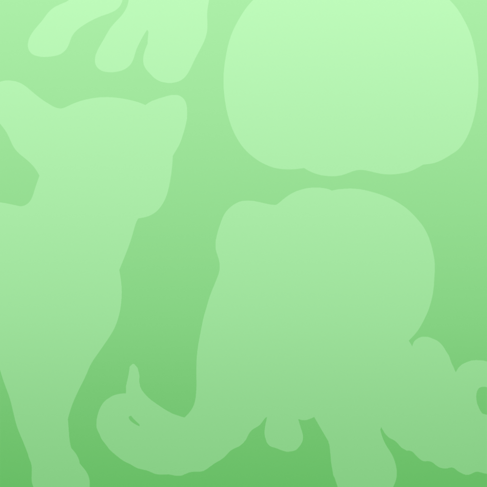 Squshy #77