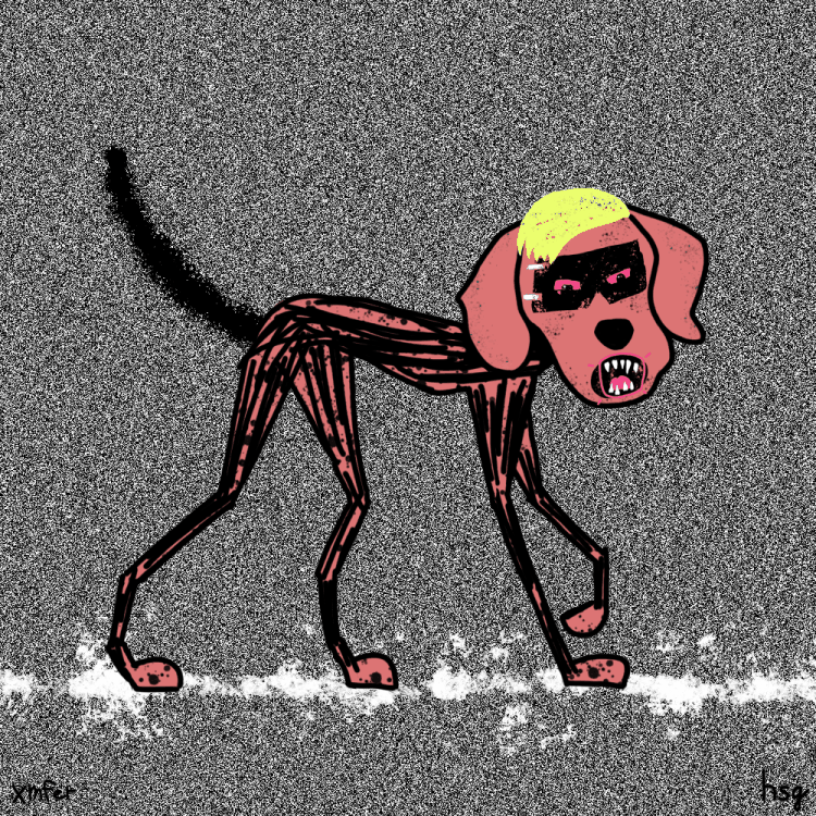 dog #14