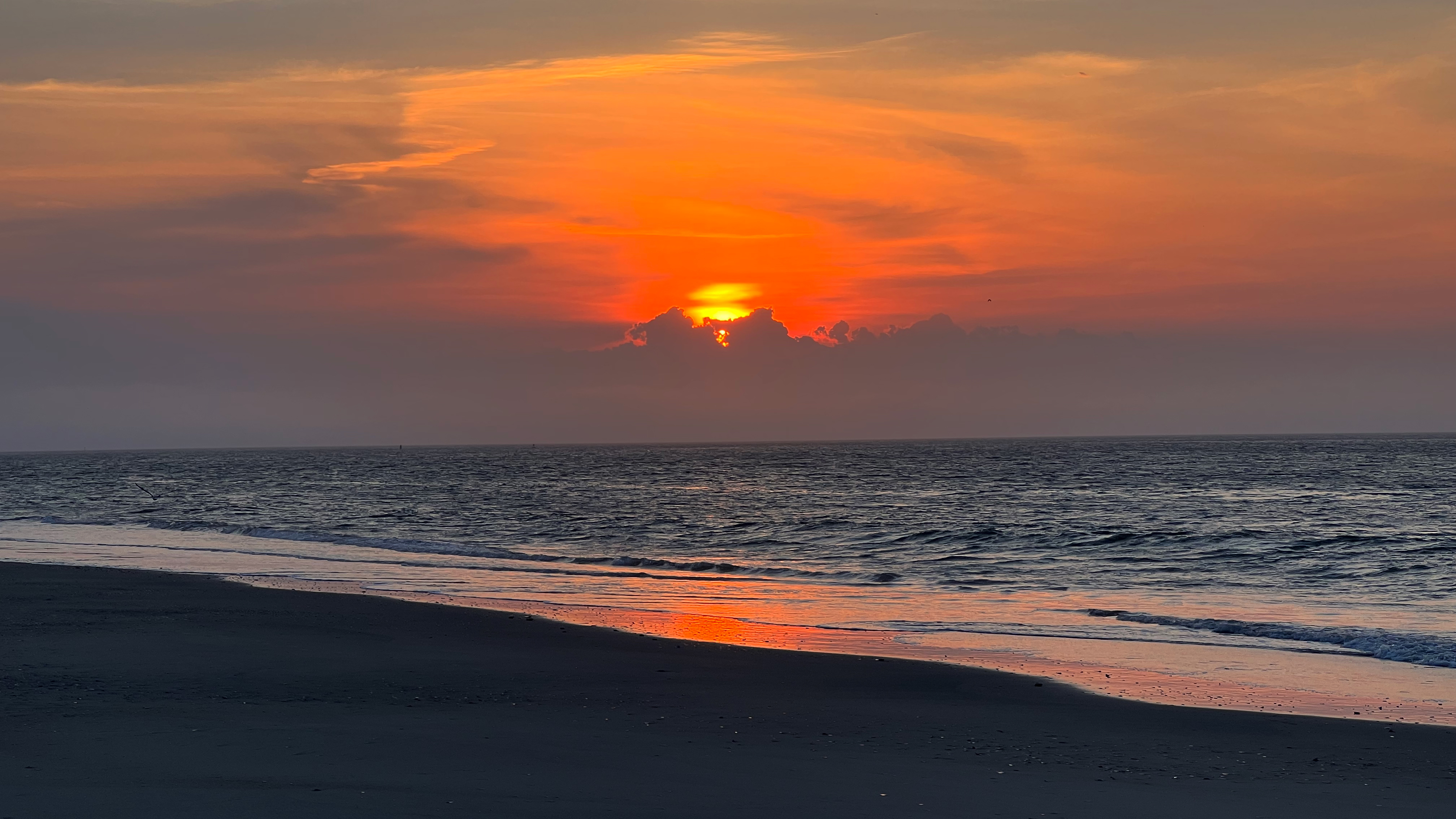 Avalon Sunrise