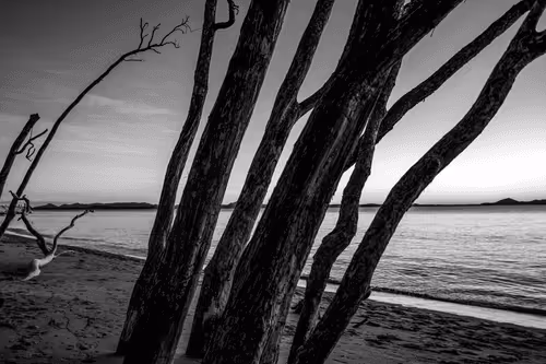 B&W diary #8