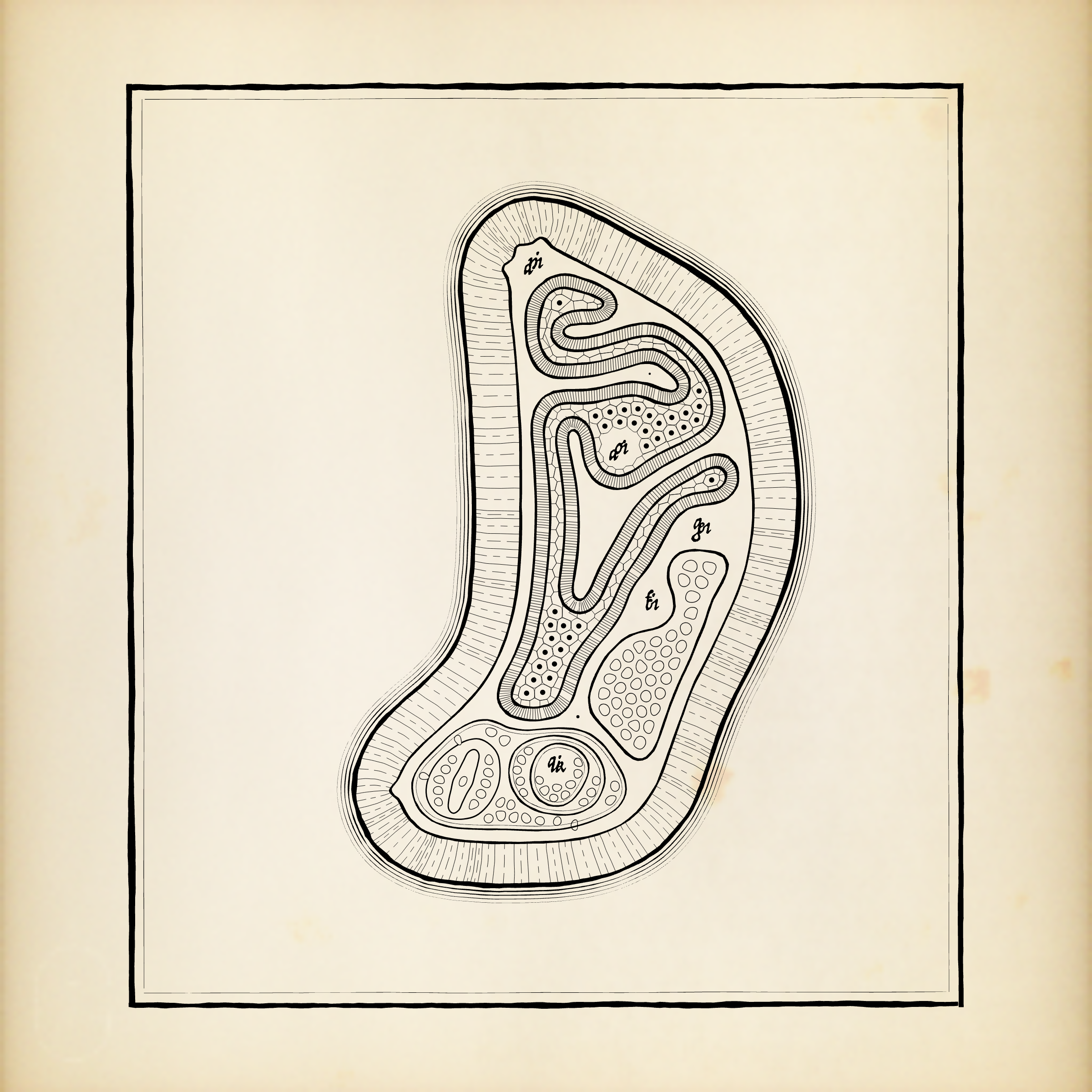 Cytographia #139