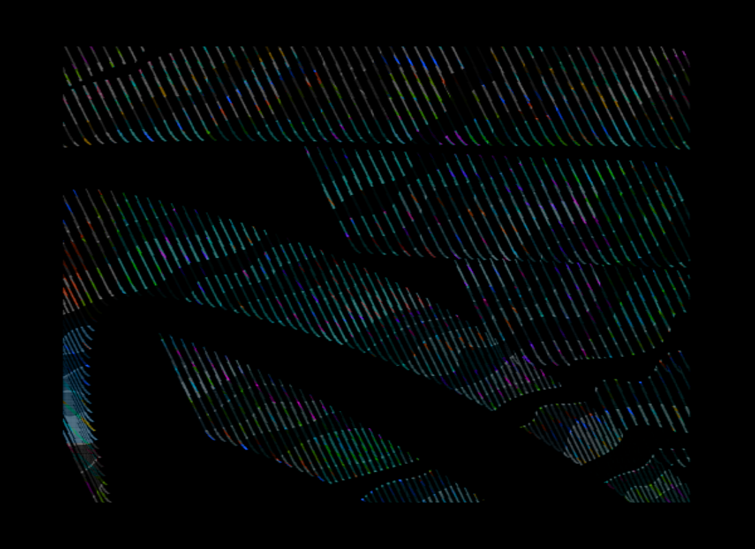 ReConstruction #79