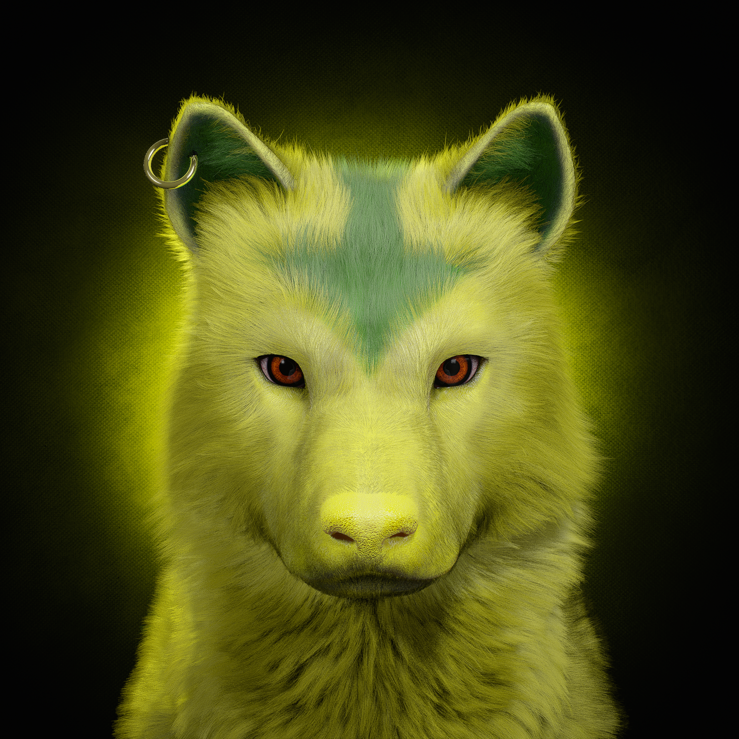 Wolf #1766