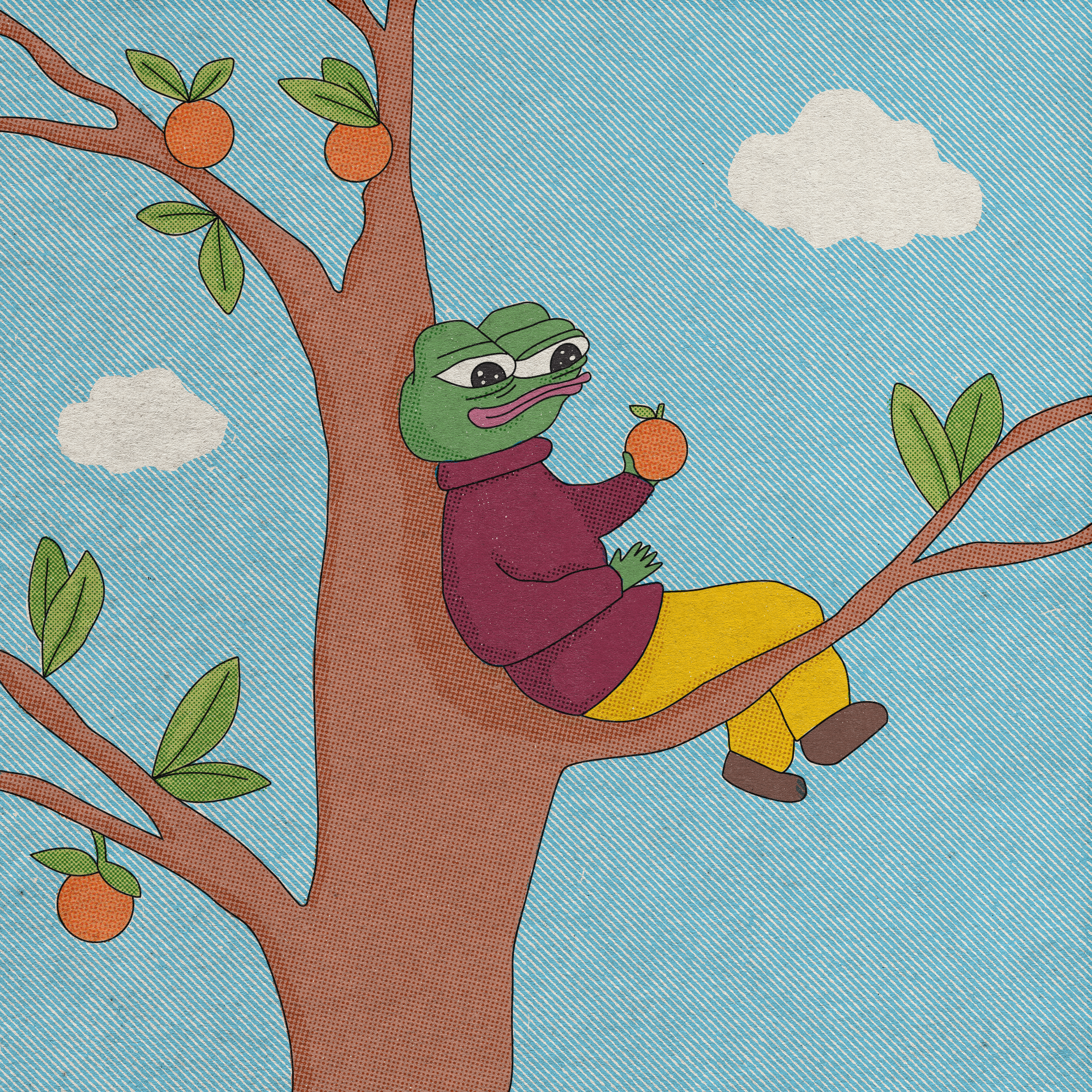 Oranges and Blue skies