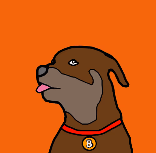 CryptoSami #241