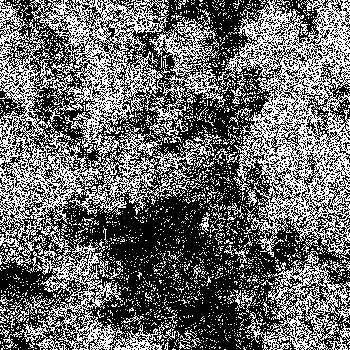 Noise #25 