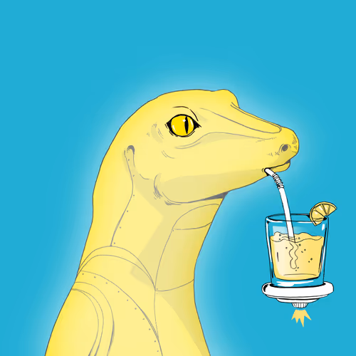 Lizard #676
