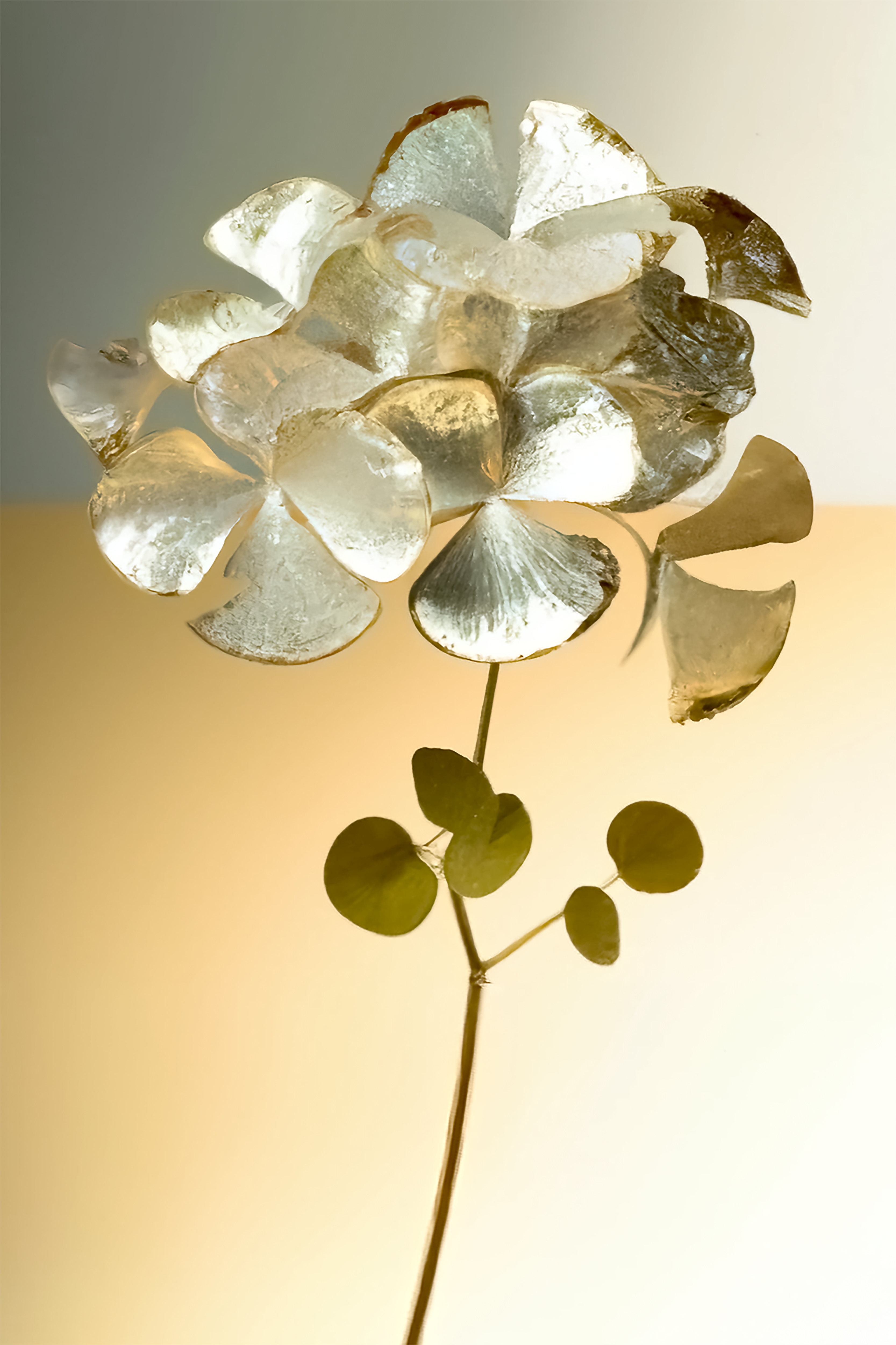 Bonne Année 2023 #44/100