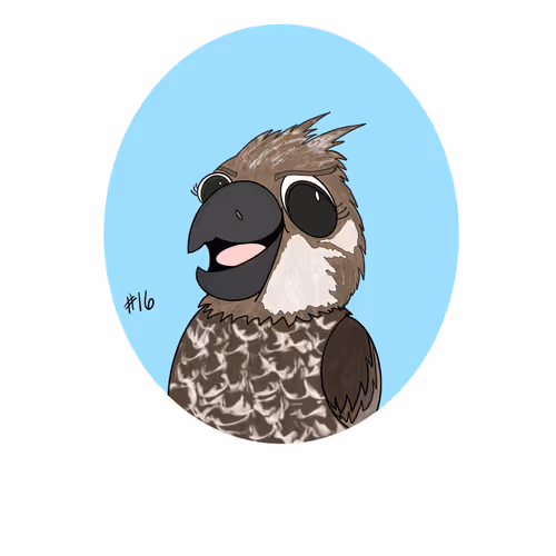 Bird #16