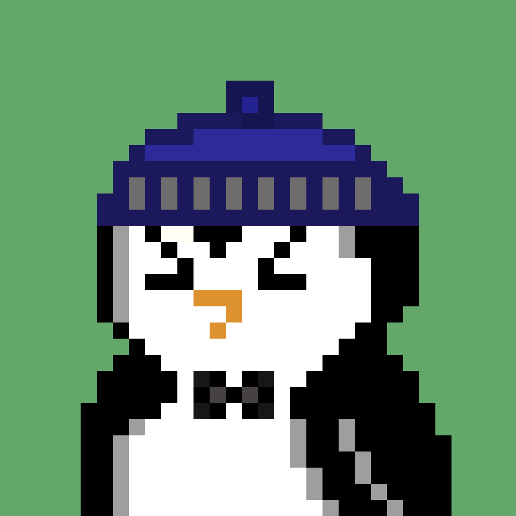 PixelPenguin 2144