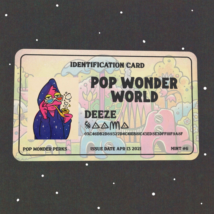 Pop Wonder World Identification Card // Deeze // Mint #6