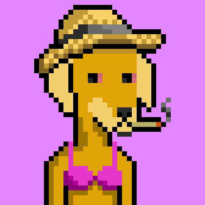 ViralataFunk #2163