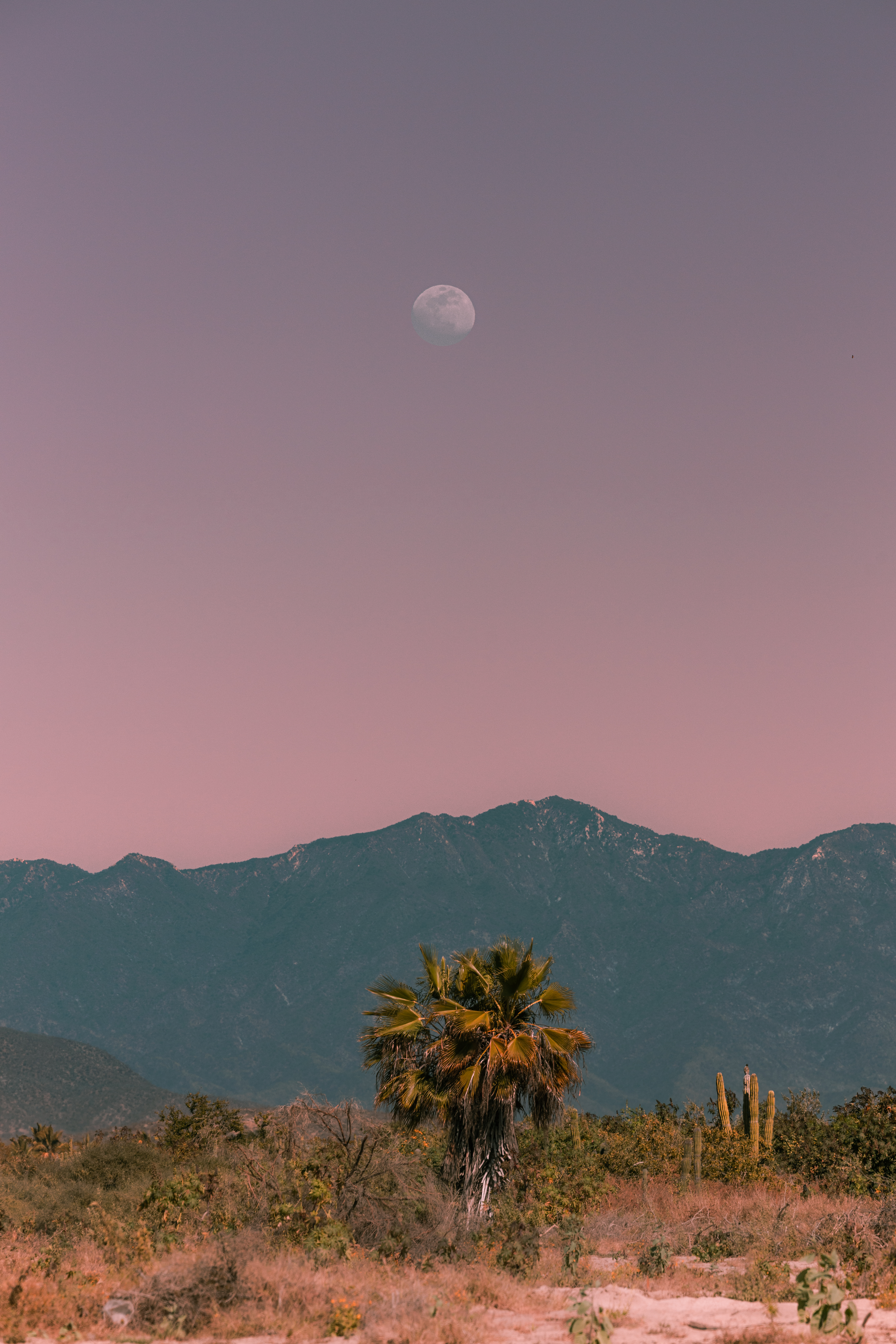 Aligned Now