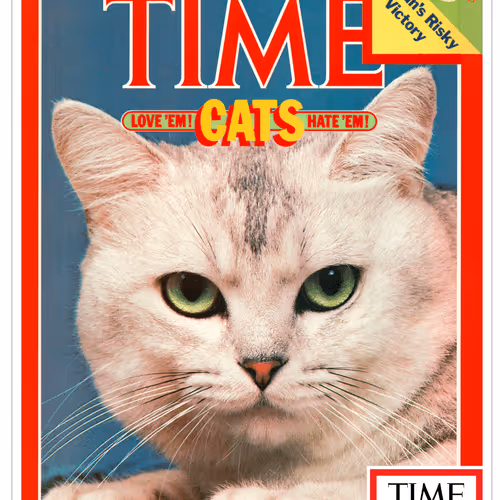 TIME Cats Love 'em! Hate 'em! - December 7th, 1981