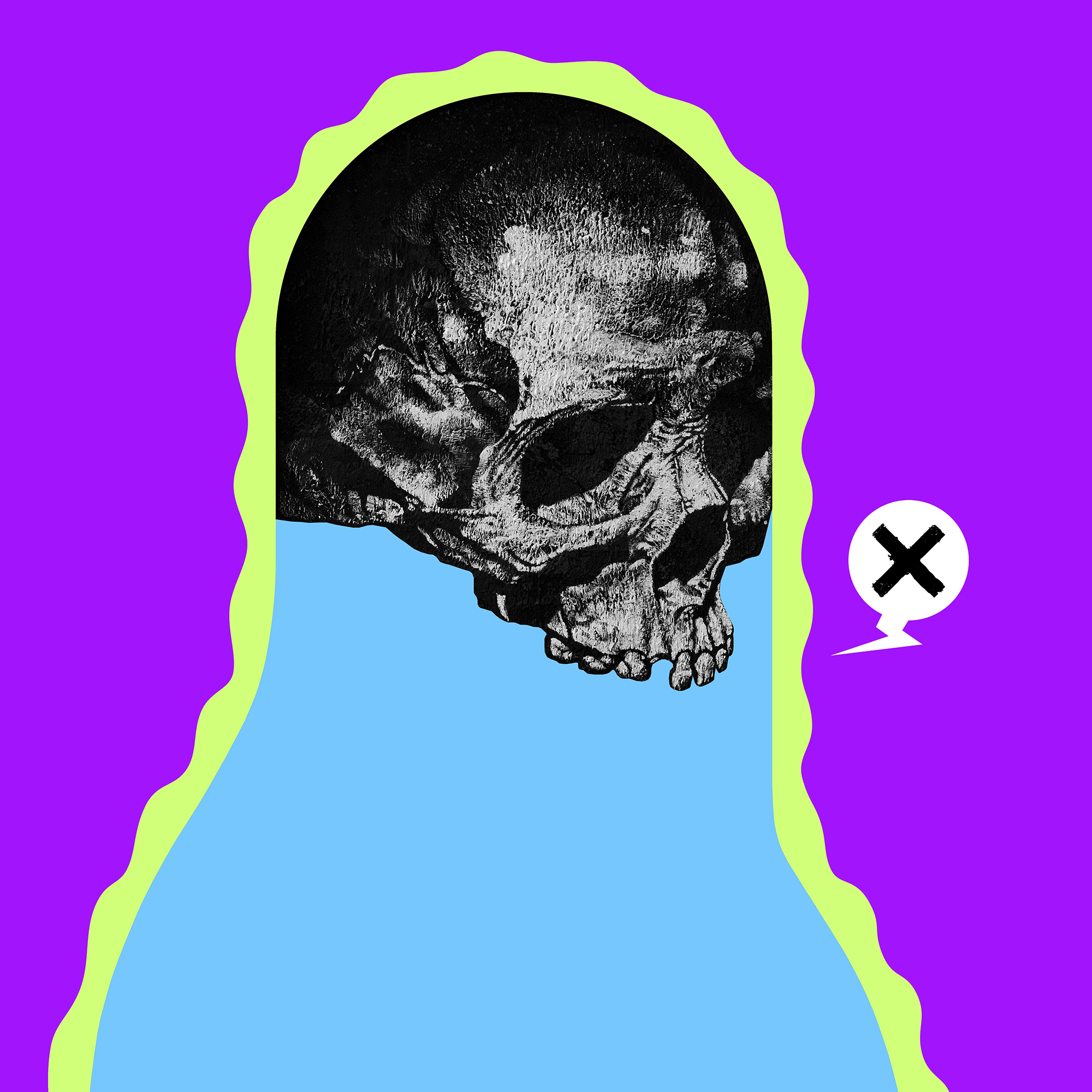 Cyber Bandit #909