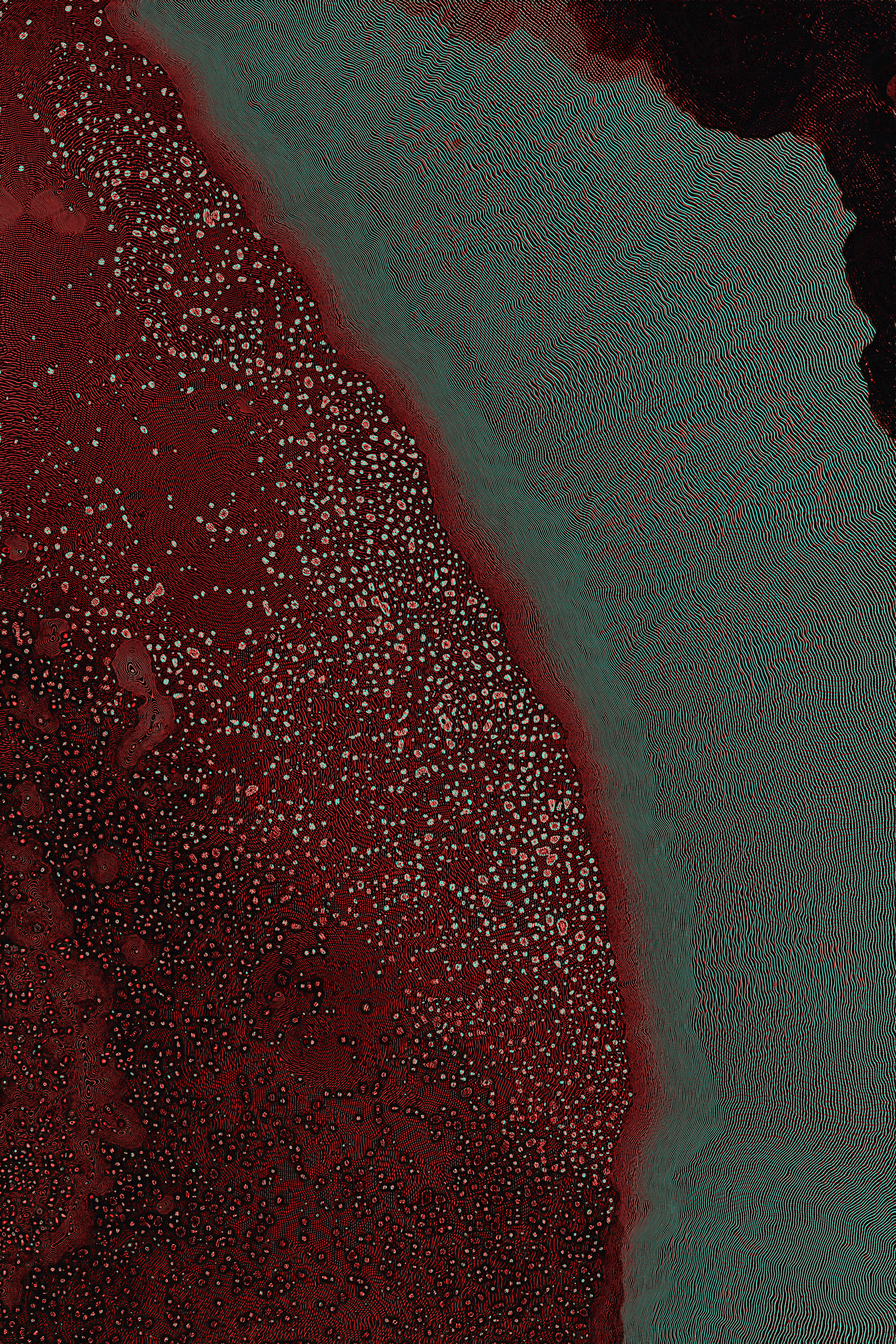 Dactylogram #126