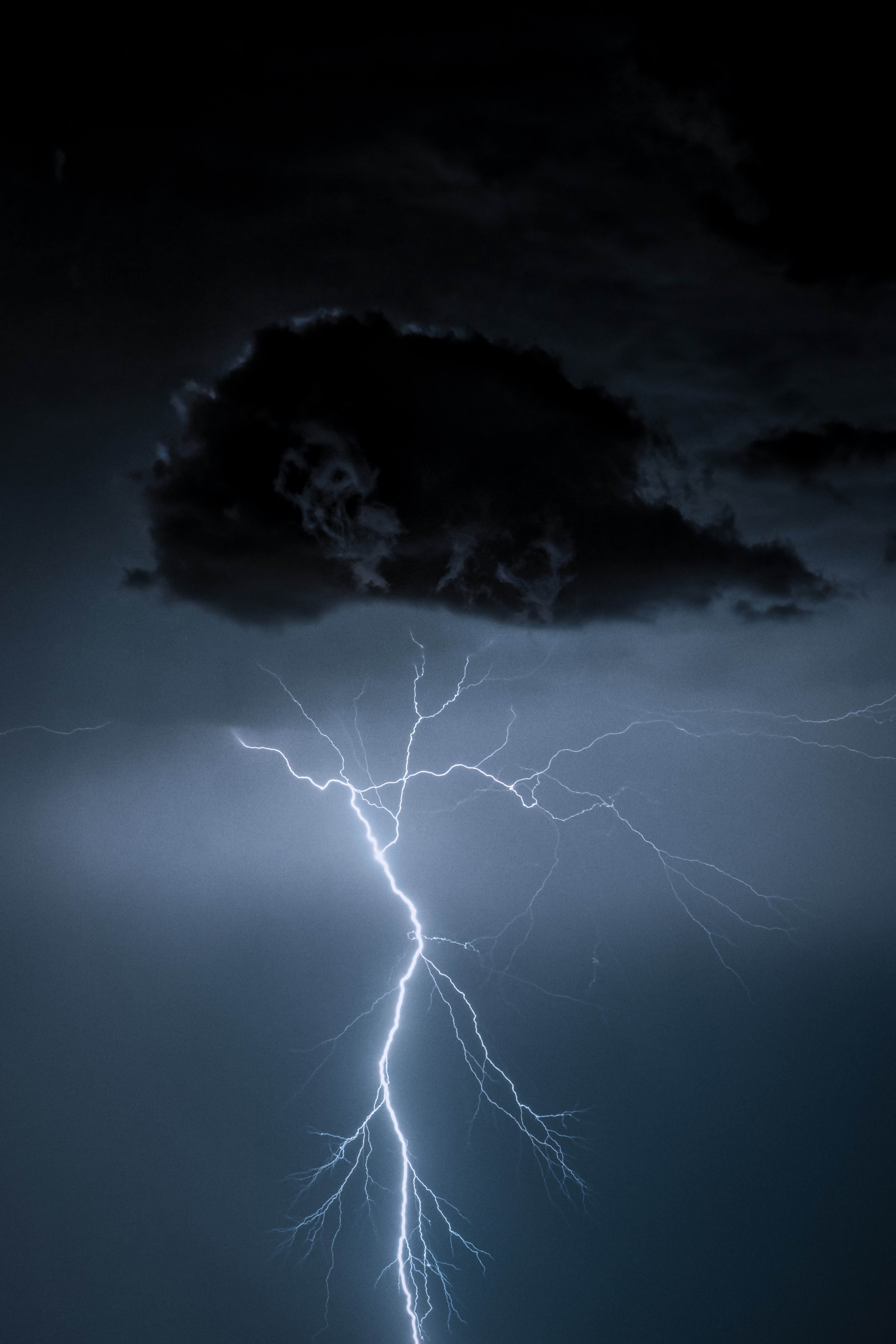 ēlectricus #32/50