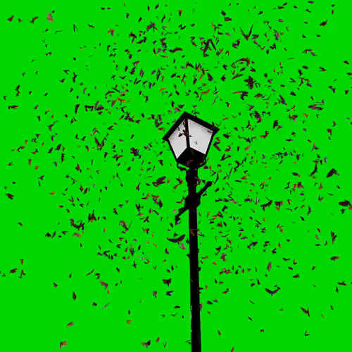 Nocturnal Lure I 