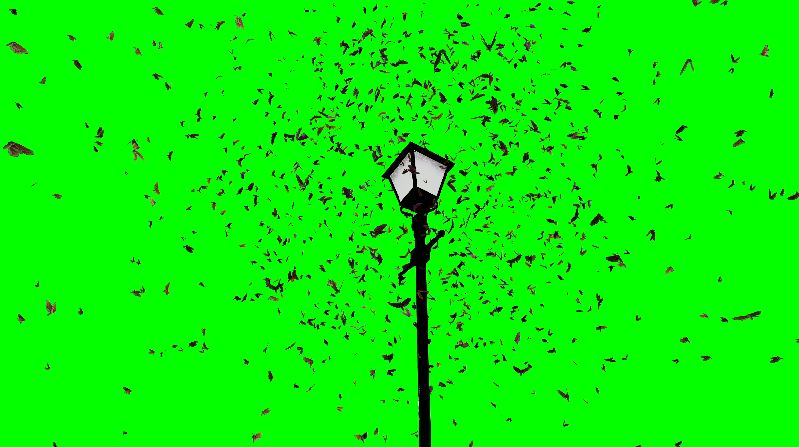 Nocturnal Lure I