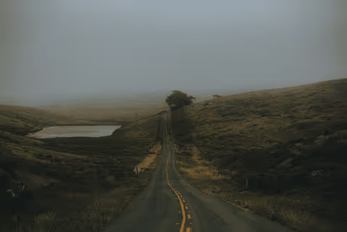 Point Reyes BTW