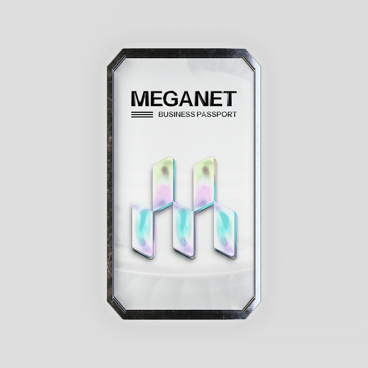Business Passport Meganet