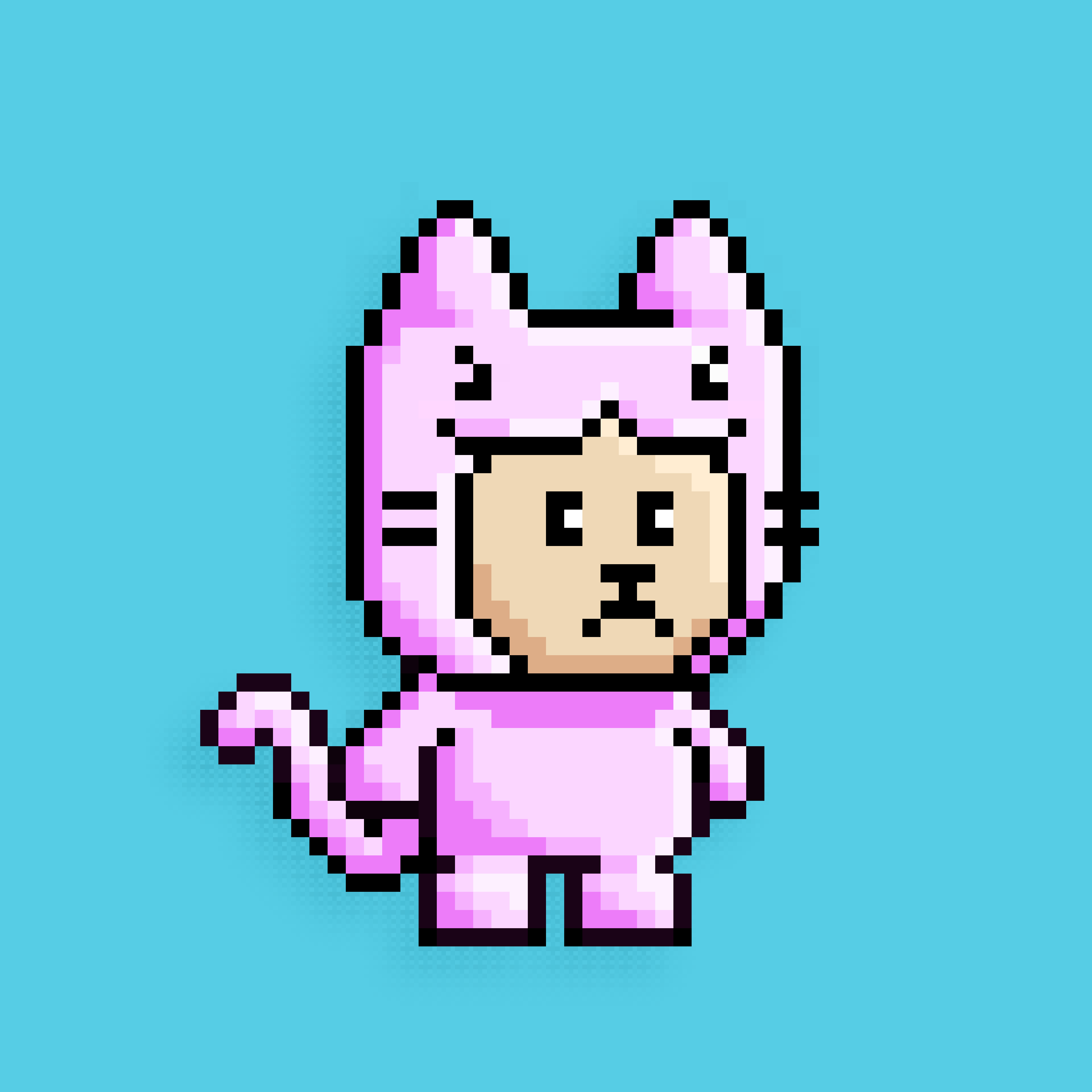 little cats  #24649