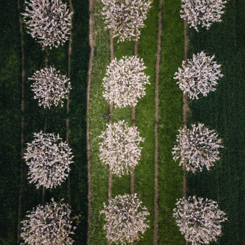 Spring - Youth