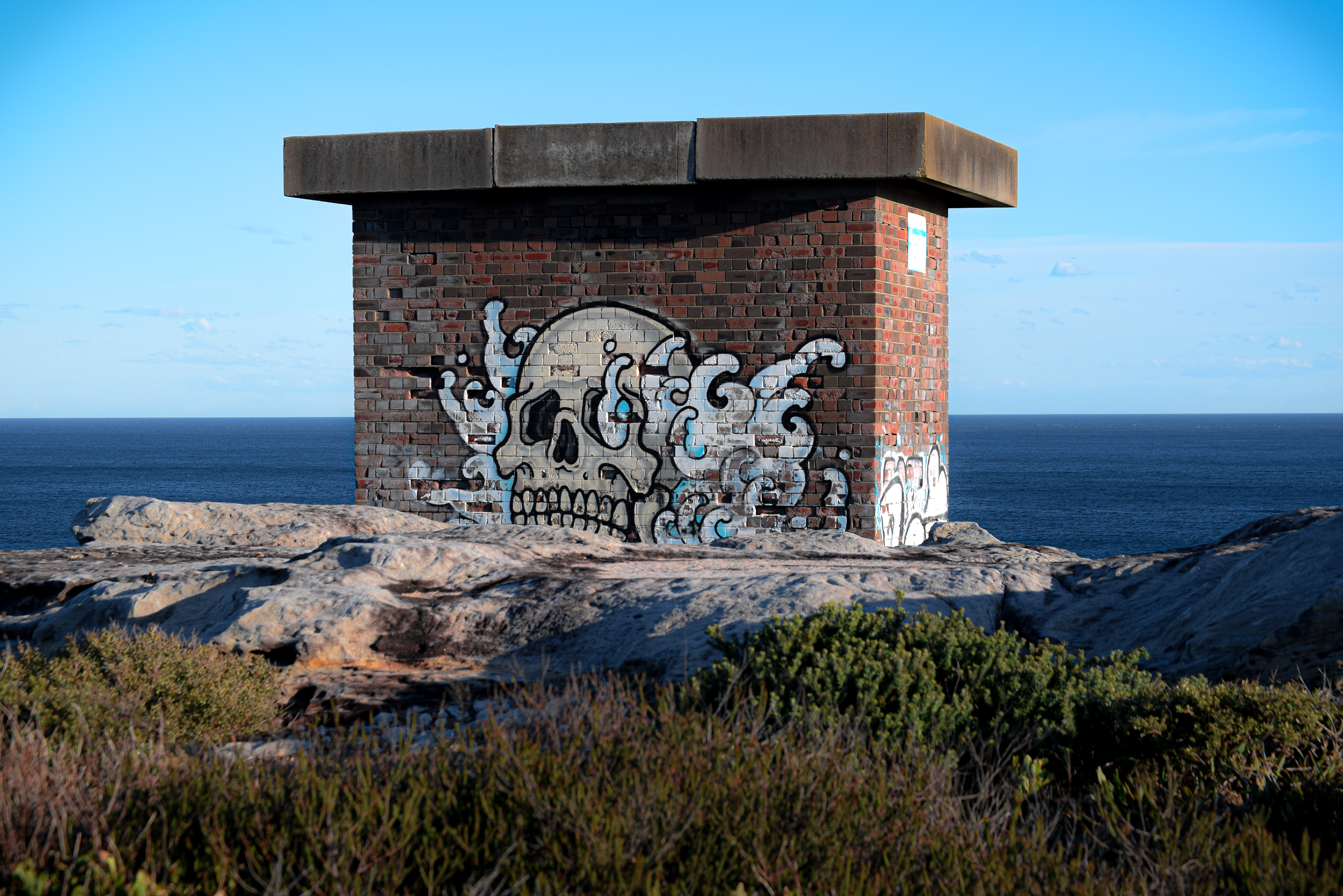 The bones rest nearby the C