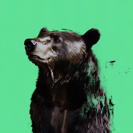 bear #3855