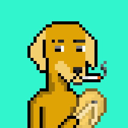 ViralataFunk #1249
